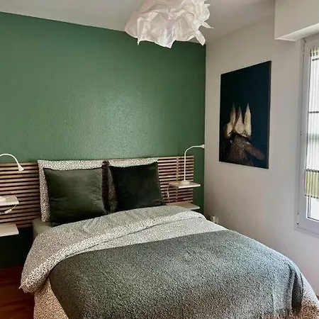 La Sinne 2 Pieces Avec Garage Appartement Mulhouse