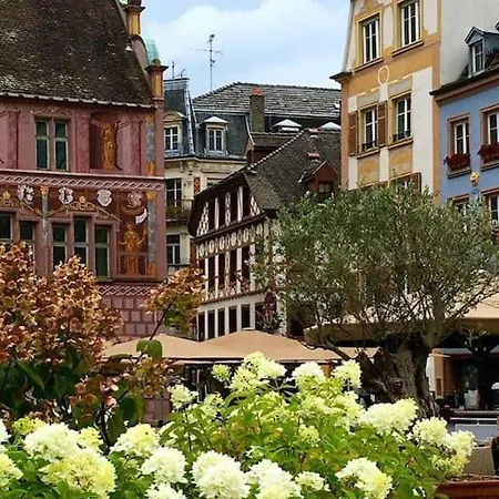 La Sinne 2 Pieces Avec Garage * Mulhouse