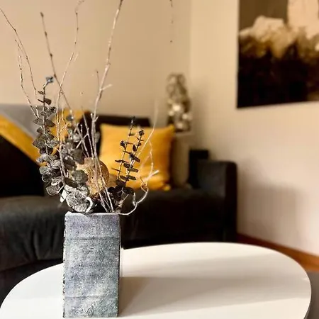 La Sinne 2 Pieces Avec Garage *