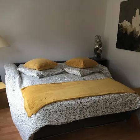 Appartement La Sinne 2 Pieces Avec Garage *