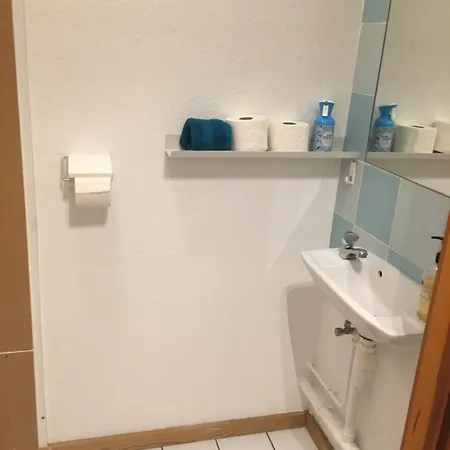 Apartamento La Sinne 2 Pieces Avec Garage *